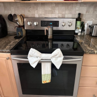 Rina Pro Cleaning