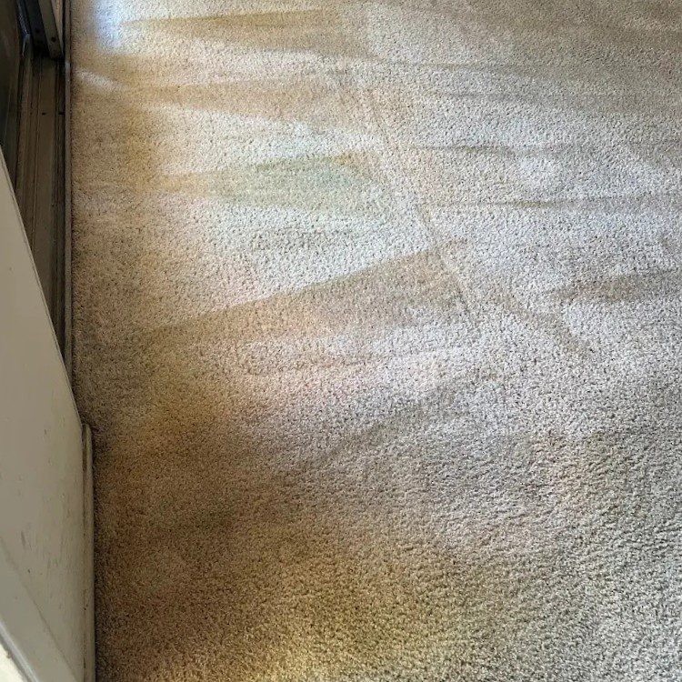 Ukrainian Carpet Cleaning — Professional Carpet & Upholstery Cleaning - Cleaning Ukrainian Carpet Cleaning — Professional Carpet & Upholstery Cleaning - Cleaning - www.sharvarok.com