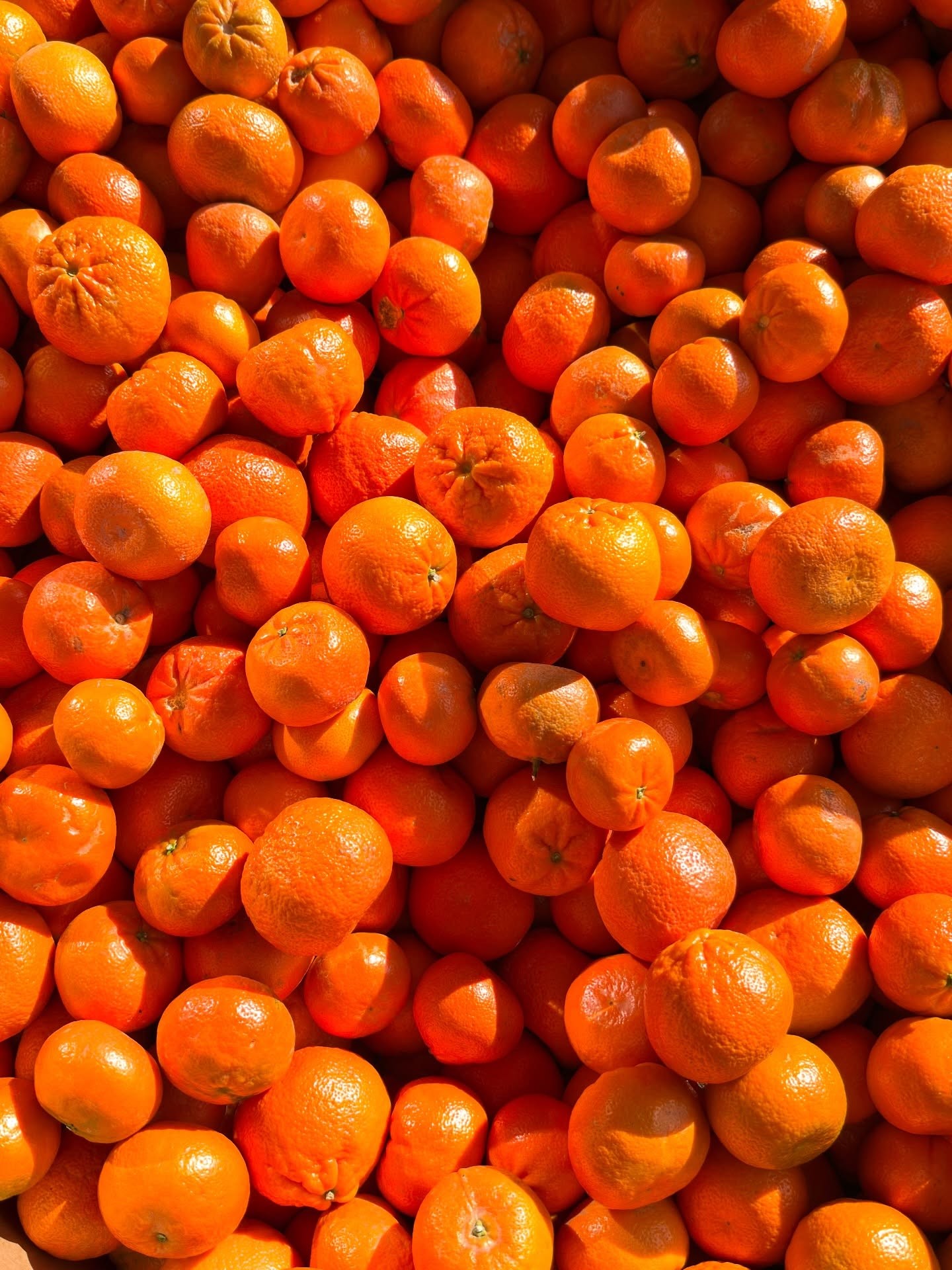 Citrus Plaza Market — Ukrainian & European Grocery Store - Grocery Stores & Fresh Food Citrus Plaza Market — Ukrainian & European Grocery Store - Grocery Stores & Fresh Food - www.sharvarok.com